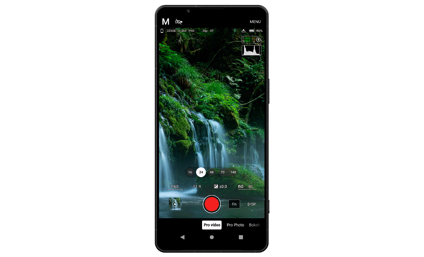 Vertical view of phone screen showing trees and plants