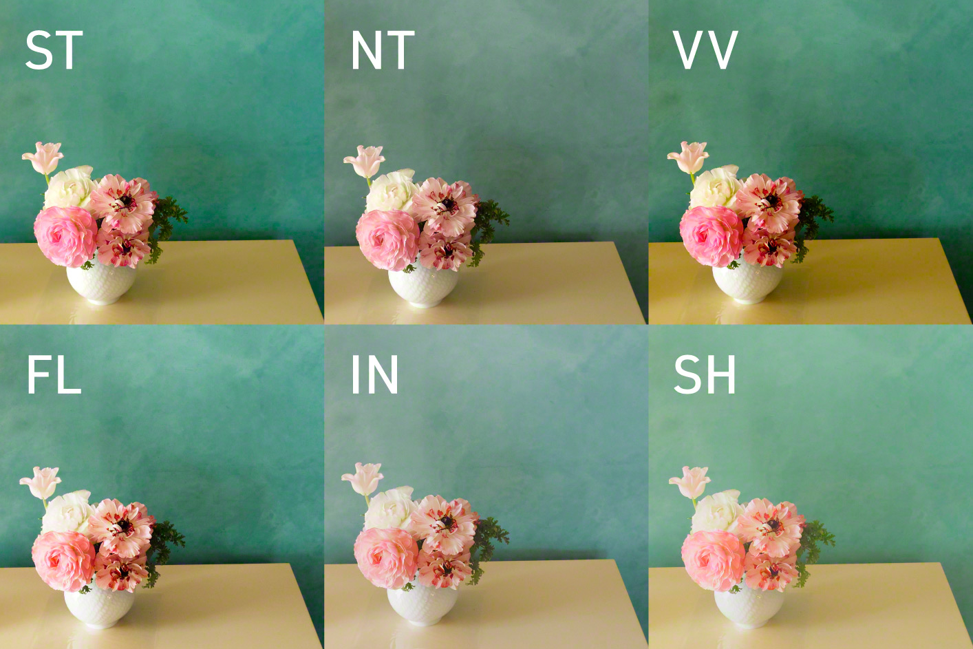 Six images of pink flowers in a white vase on a table against a green wall