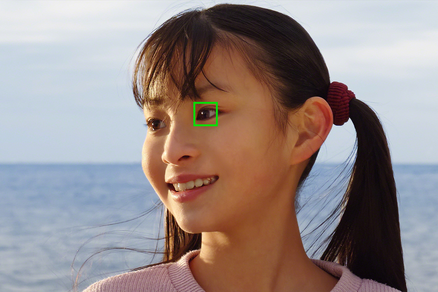 Close up of a person with a green sqaure around their eye
