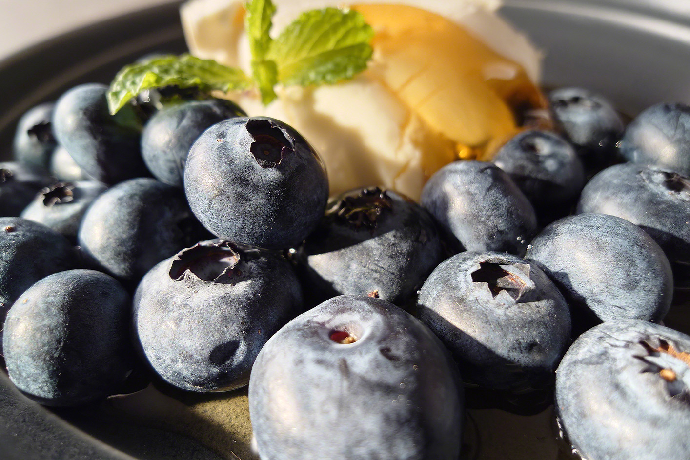 Close up of blueberries, ice cream and a green leaf