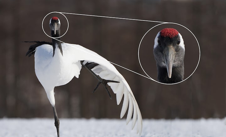 High resolution and fast AF at any focal length