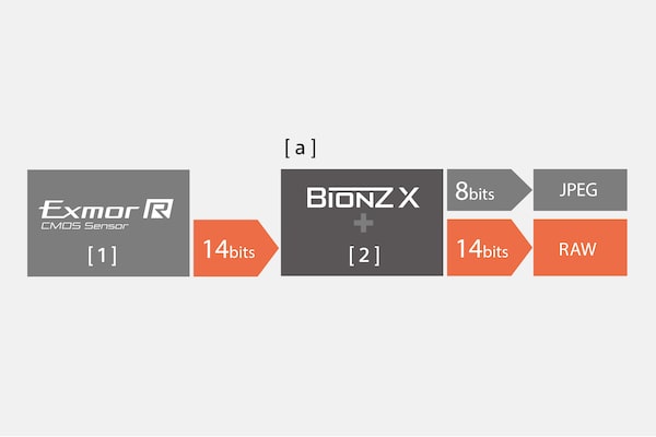 14-bit RAW output for rich gradations